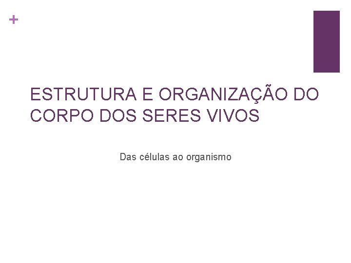 + ESTRUTURA E ORGANIZAÇÃO DO CORPO DOS SERES VIVOS Das células ao organismo 