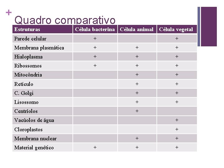 + Quadro comparativo Estruturas Célula bacterina Célula animal Célula vegetal Parede celular + +