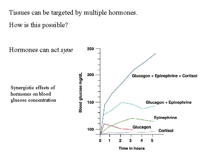 Tissues can be targeted by multiple hormones. How is this possible? Hormones can act Tissues can be targeted by multiple hormones. How is this possible? Hormones can act