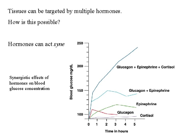 Tissues can be targeted by multiple hormones. How is this possible? Hormones can act