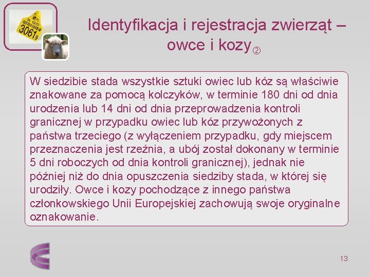  Identyfikacja i rejestracja zwierząt – owce i kozy W siedzibie stada wszystkie sztuki