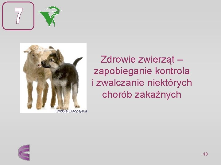 Zdrowie zwierząt – zapobieganie kontrola i zwalczanie niektórych chorób zakaźnych Komisja Europejska 48 