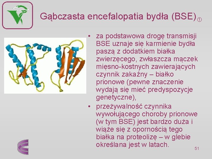 Gąbczasta encefalopatia bydła (BSE) • za podstawowa drogę transmisji BSE uznaje się karmienie bydła
