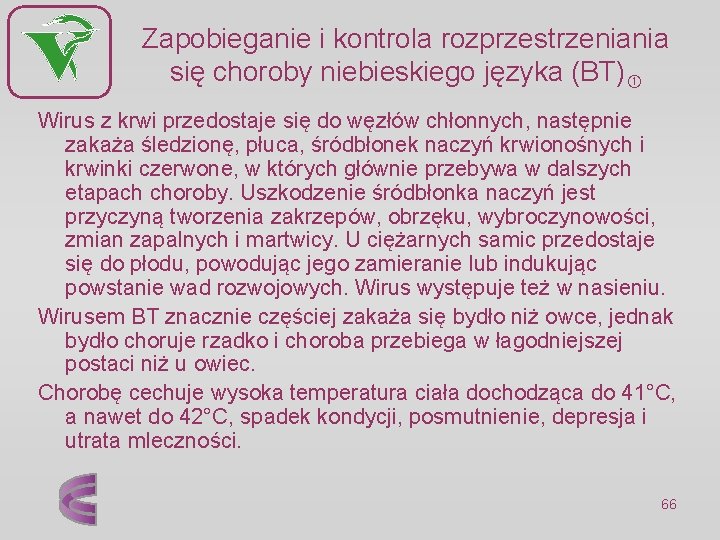 Zapobieganie i kontrola rozprzestrzeniania się choroby niebieskiego języka (BT) Wirus z krwi przedostaje się