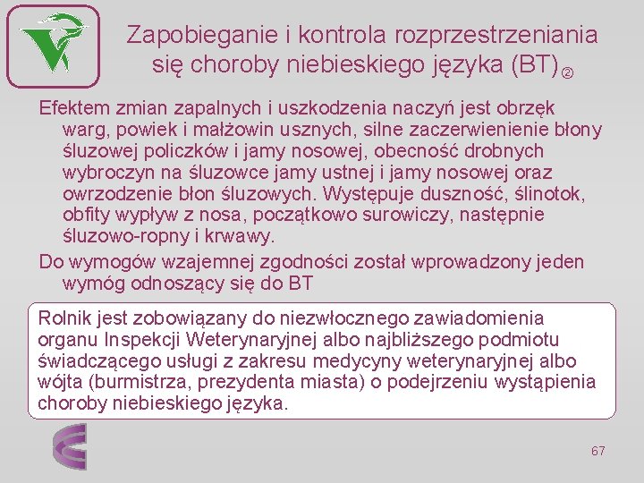 Zapobieganie i kontrola rozprzestrzeniania się choroby niebieskiego języka (BT) Efektem zmian zapalnych i uszkodzenia