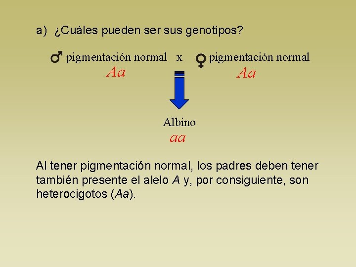 a) ¿Cuáles pueden ser sus genotipos? pigmentación normal x Aa pigmentación normal Aa Albino