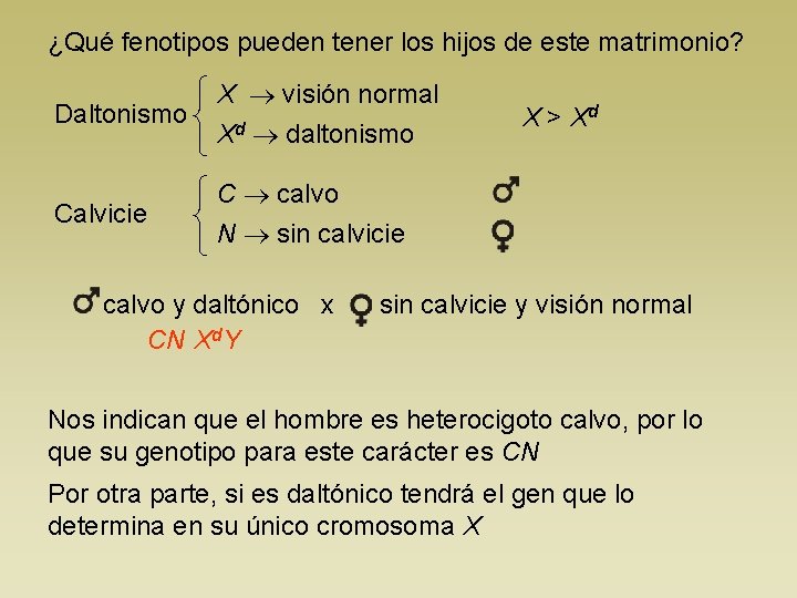 ¿Qué fenotipos pueden tener los hijos de este matrimonio? Daltonismo X visión normal Xd