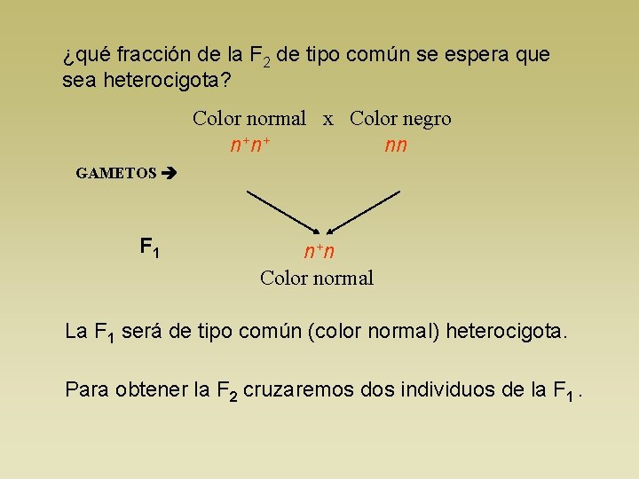 ¿qué fracción de la F 2 de tipo común se espera que sea heterocigota?