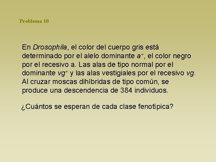 Problema 10 En Drosophila, el color del cuerpo gris está determinado por el alelo