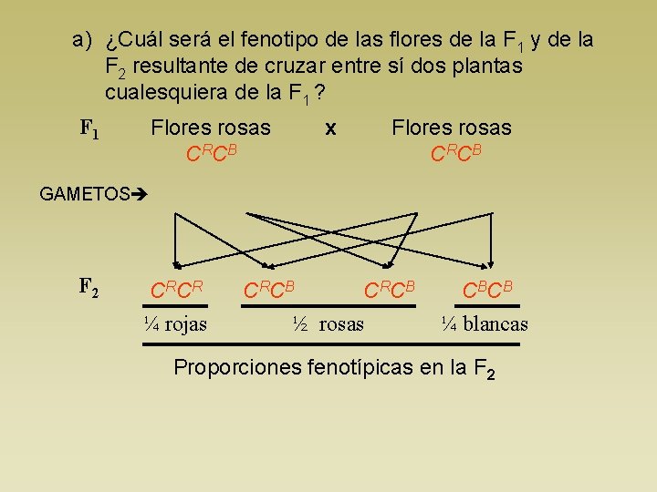 a) ¿Cuál será el fenotipo de las flores de la F 1 y de