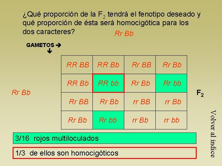 ¿Qué proporción de la F 2 tendrá el fenotipo deseado y qué proporción de