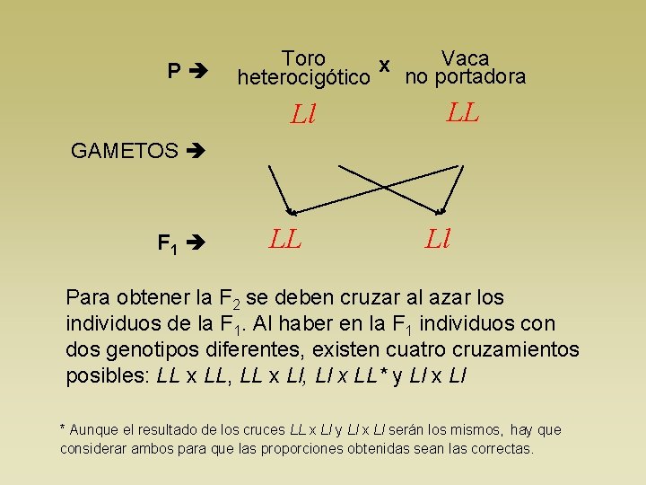 P Vaca Toro x no portadora heterocigótico Ll LL GAMETOS F 1 LL Ll