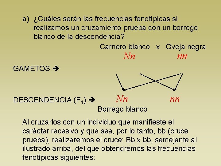 a) ¿Cuáles serán las frecuencias fenotípicas si realizamos un cruzamiento prueba con un borrego