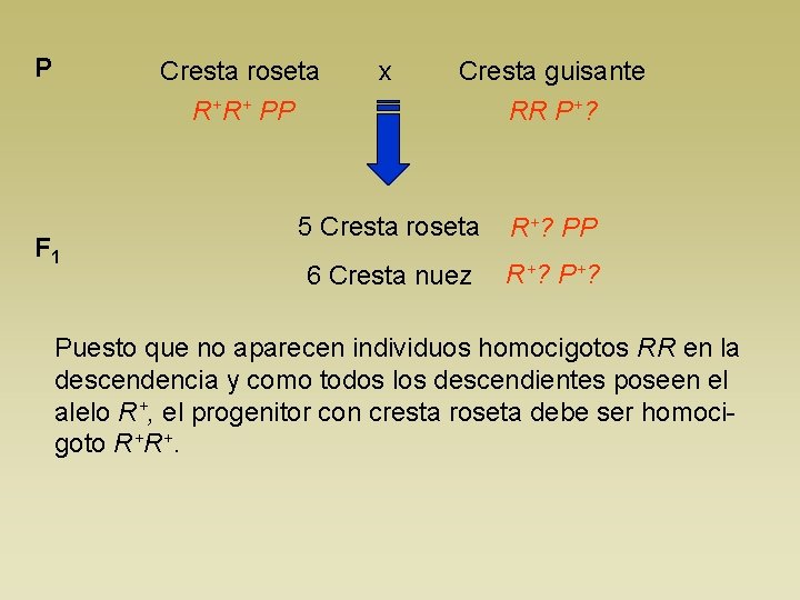 P Cresta roseta x Cresta guisante R+R+ PP F 1 RR P+? 5 Cresta