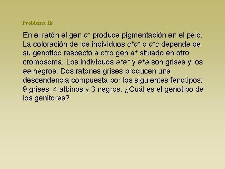 Problema 18 En el ratón el gen c+ produce pigmentación en el pelo. La