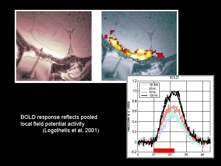BOLD response reflects pooled local field potential activity (Logothetis et al, 2001) 