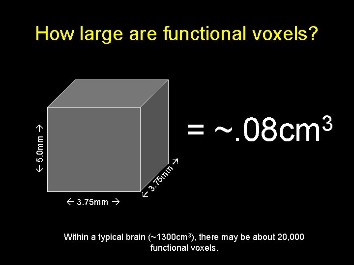 How large are functional voxels? 3. 75 mm 3. 75 m m 5. 0