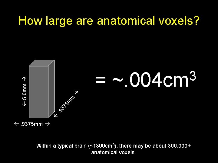 How large are anatomical voxels? . 9 37 5 m m 5. 0 mm