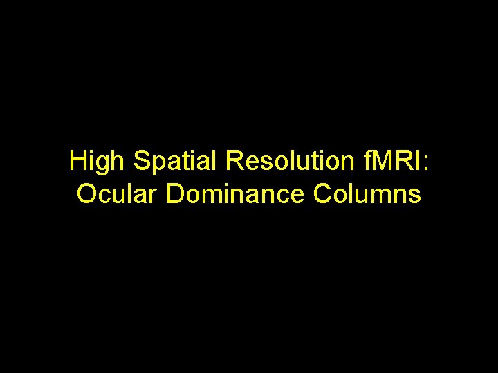 High Spatial Resolution f. MRI: Ocular Dominance Columns 