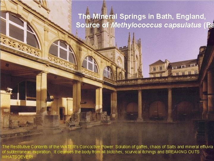 The Mineral Springs in Bath, England, Source of Methylococcus capsulatus (Ba The Restitutive Contents