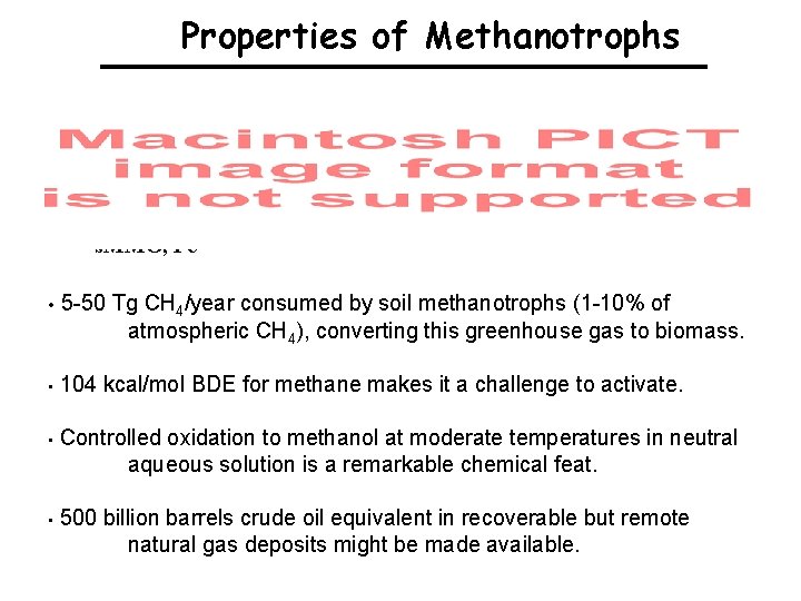 Properties of Methanotrophs p. MMO, Cu s. MMO, Fe • 5 -50 Tg CH