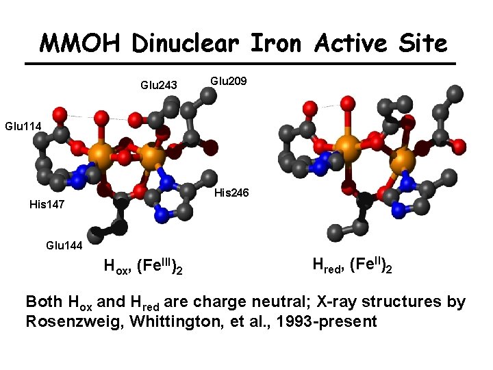 MMOH Dinuclear Iron Active Site Glu 243 Glu 209 Glu 114 His 246 His