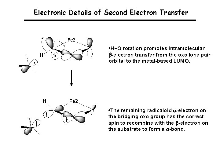 Electronic Details of Second Electron Transfer • H–O rotation promotes intramolecular -electron transfer from