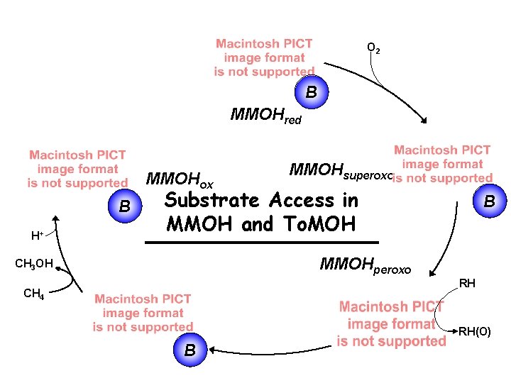 O 2 B MMOHred MMOHox B H+ MMOHsuperoxo Substrate Access in MMOH and To.