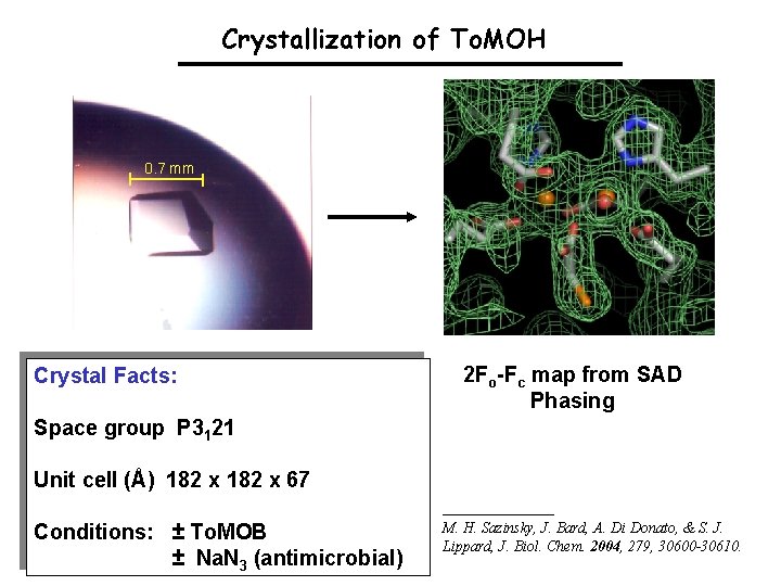 Crystallization of To. MOH 0. 7 mm Crystal Facts: 2 Fo-Fc map from SAD