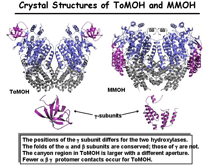 Crystal Structures of To. MOH and MMOH To. MOH MMOH -subunits The positions of