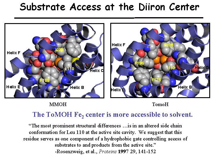 Substrate Access at the Diiron Center Helix F F 205 I 239 Helix F