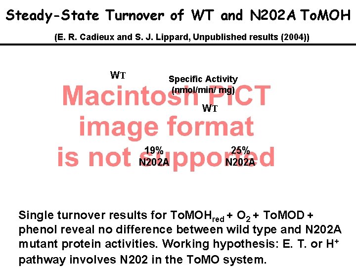 Steady-State Turnover of WT and N 202 A To. MOH (E. R. Cadieux and