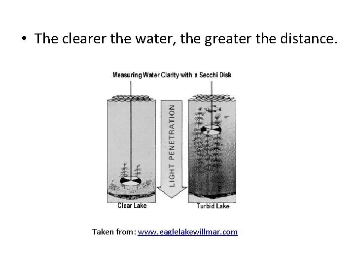  • The clearer the water, the greater the distance. Taken from: www. eaglelakewillmar.