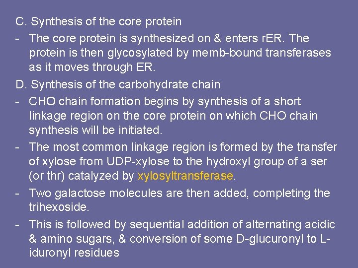 C. Synthesis of the core protein - The core protein is synthesized on &