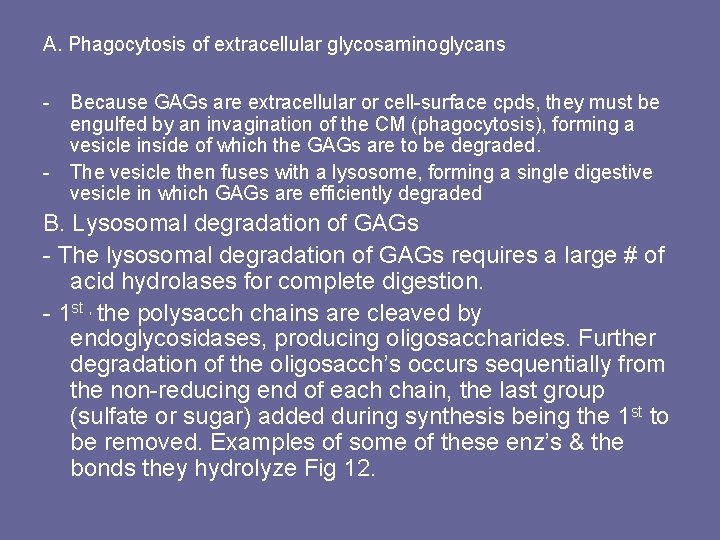 A. Phagocytosis of extracellular glycosaminoglycans - Because GAGs are extracellular or cell-surface cpds, they