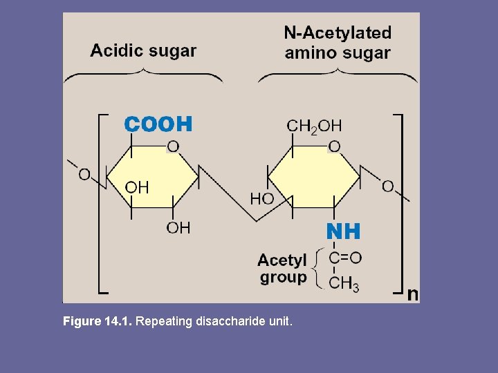 Figure 14. 1. Repeating disaccharide unit. 