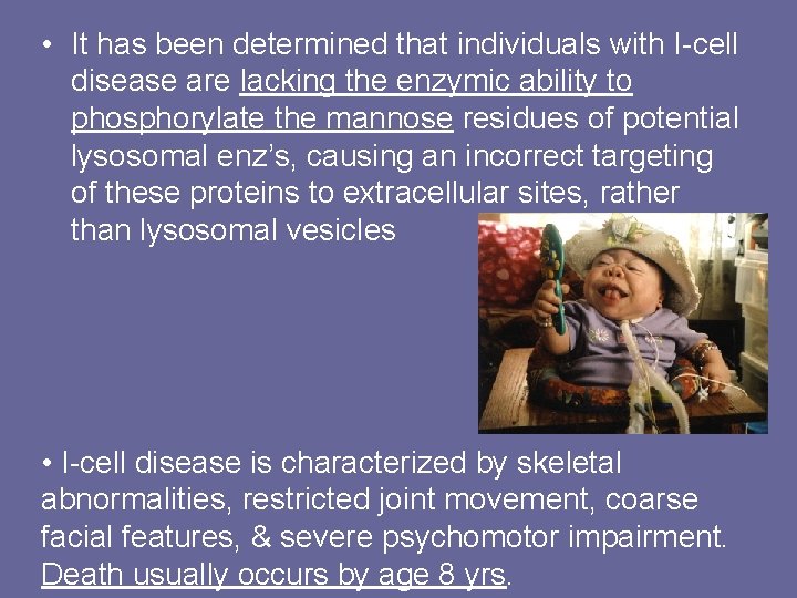  • It has been determined that individuals with I-cell disease are lacking the
