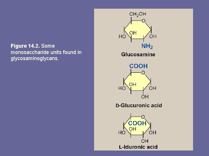 Figure 14. 2. Some monosaccharide units found in glycosaminoglycans. 