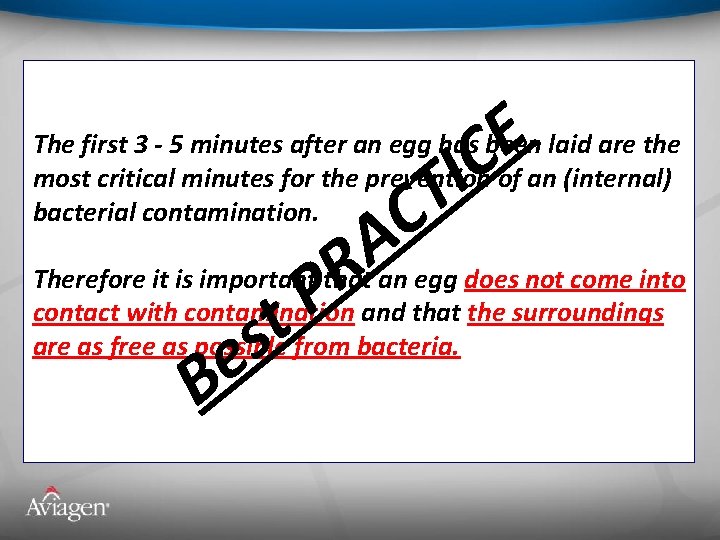 E IC The first 3 - 5 minutes after an egg has been laid