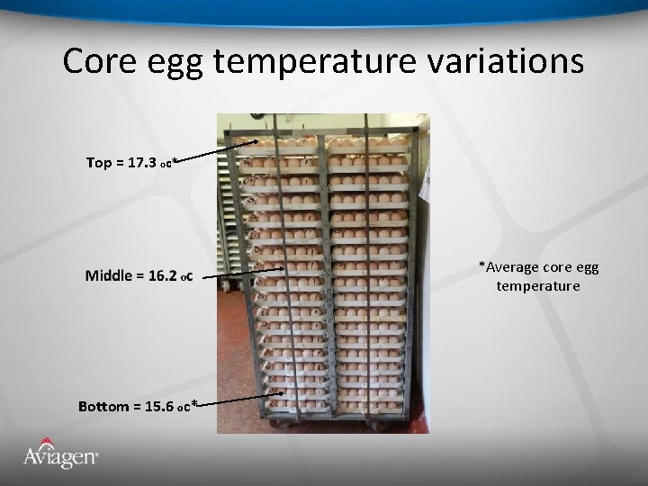 Core egg temperature variations Top = 17. 3 oc* *Average core egg temperature Bottom