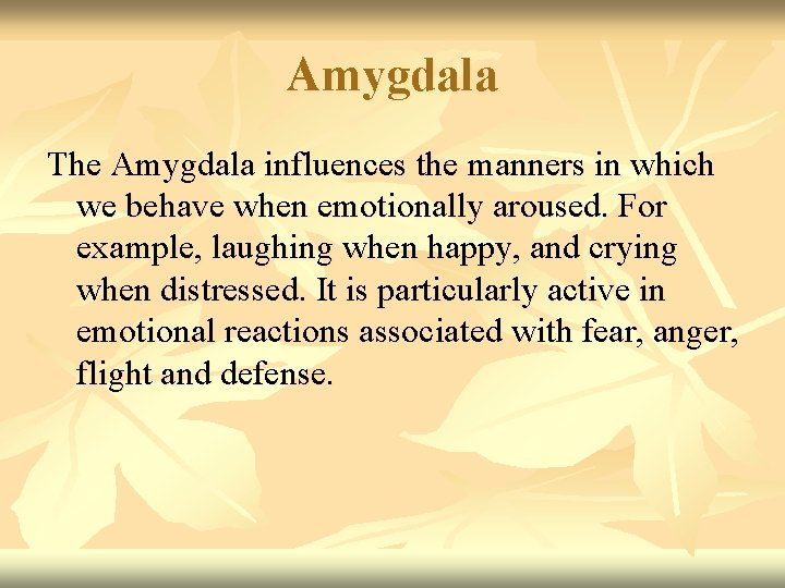 Amygdala The Amygdala influences the manners in which we behave when emotionally aroused. For