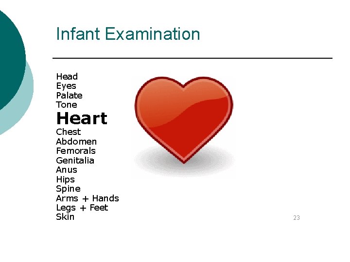 Infant Examination Head Eyes Palate Tone Heart Chest Abdomen Femorals Genitalia Anus Hips Spine