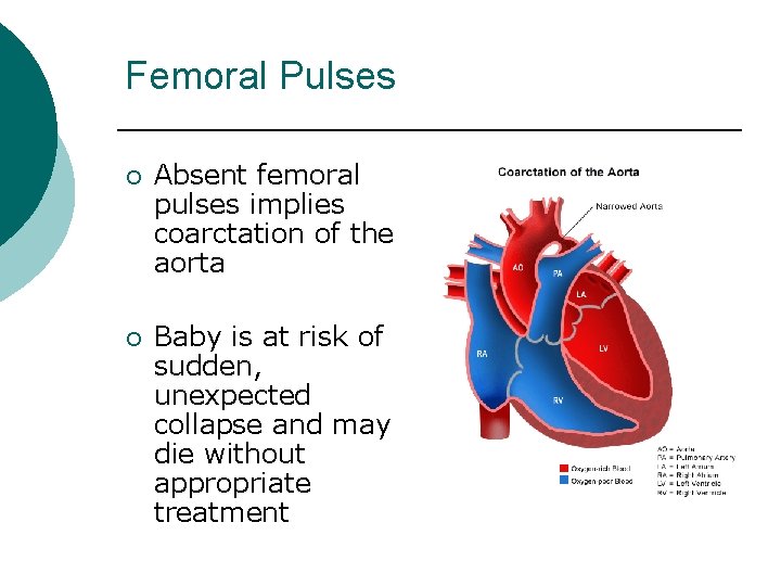 Femoral Pulses ¡ ¡ Absent femoral pulses implies coarctation of the aorta Baby is