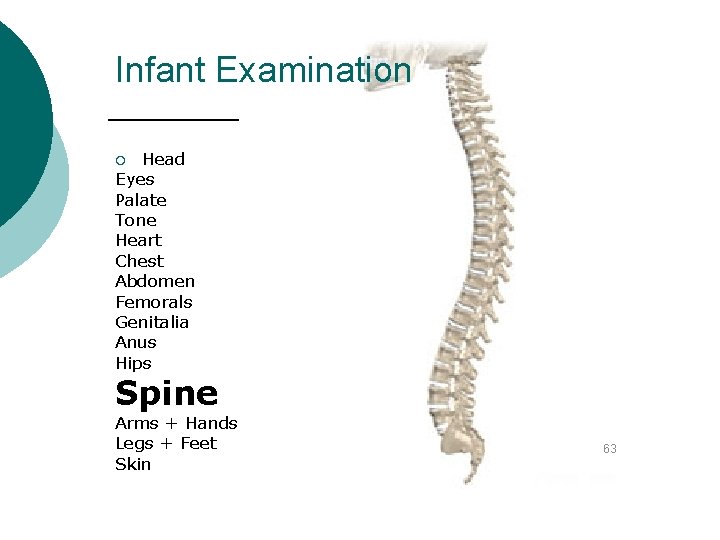 Infant Examination Head Eyes Palate Tone Heart Chest Abdomen Femorals Genitalia Anus Hips ¡