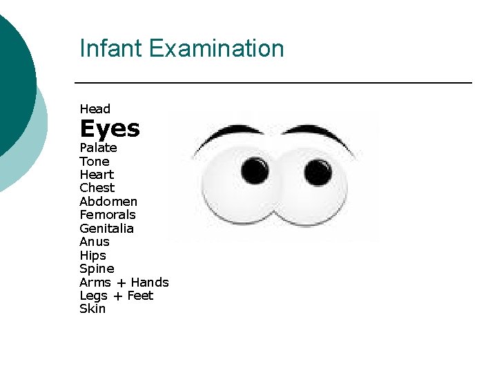 Infant Examination Head Eyes Palate Tone Heart Chest Abdomen Femorals Genitalia Anus Hips Spine