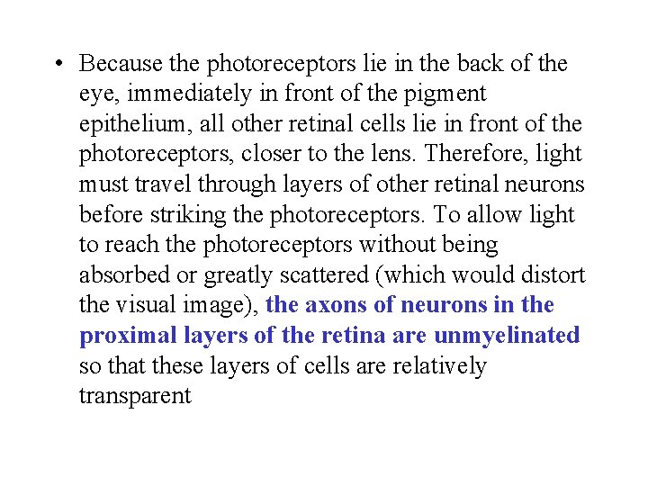  • Because the photoreceptors lie in the back of the eye, immediately in