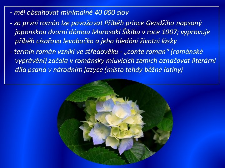  - měl obsahovat minimálně 40 000 slov - za první román lze považovat