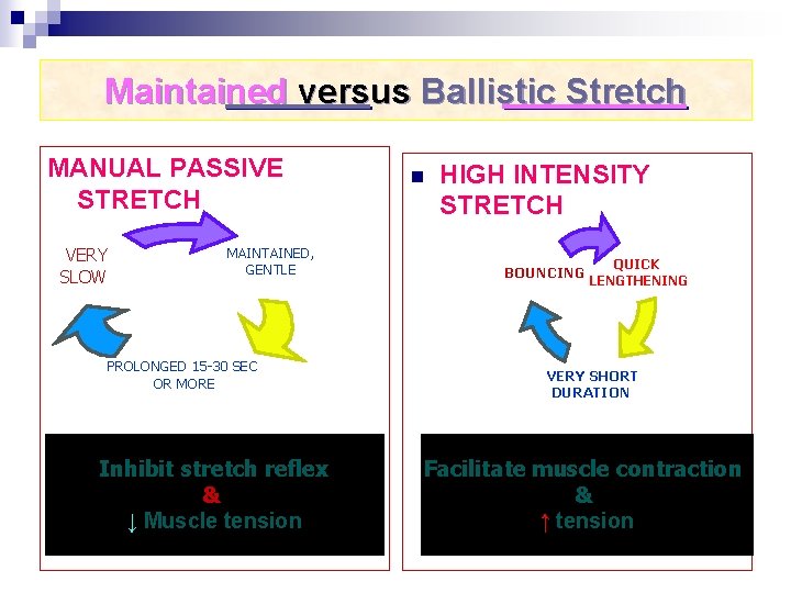 Maintained versus Ballistic Stretch MANUAL PASSIVE STRETCH VERY SLOW MAINTAINED, GENTLE PROLONGED 15 -30