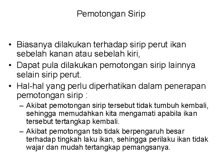 Pemotongan Sirip • Biasanya dilakukan terhadap sirip perut ikan sebelah kanan atau sebelah kiri,