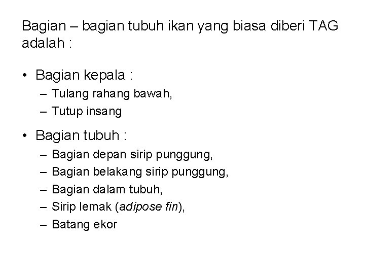 Bagian – bagian tubuh ikan yang biasa diberi TAG adalah : • Bagian kepala